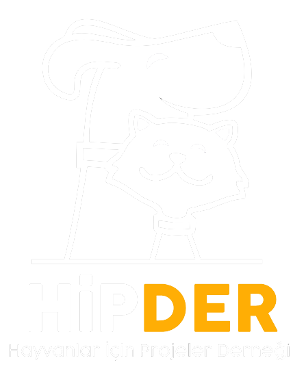 Hipder