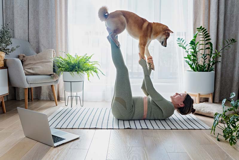 Fun Activities To Do with Your Pet